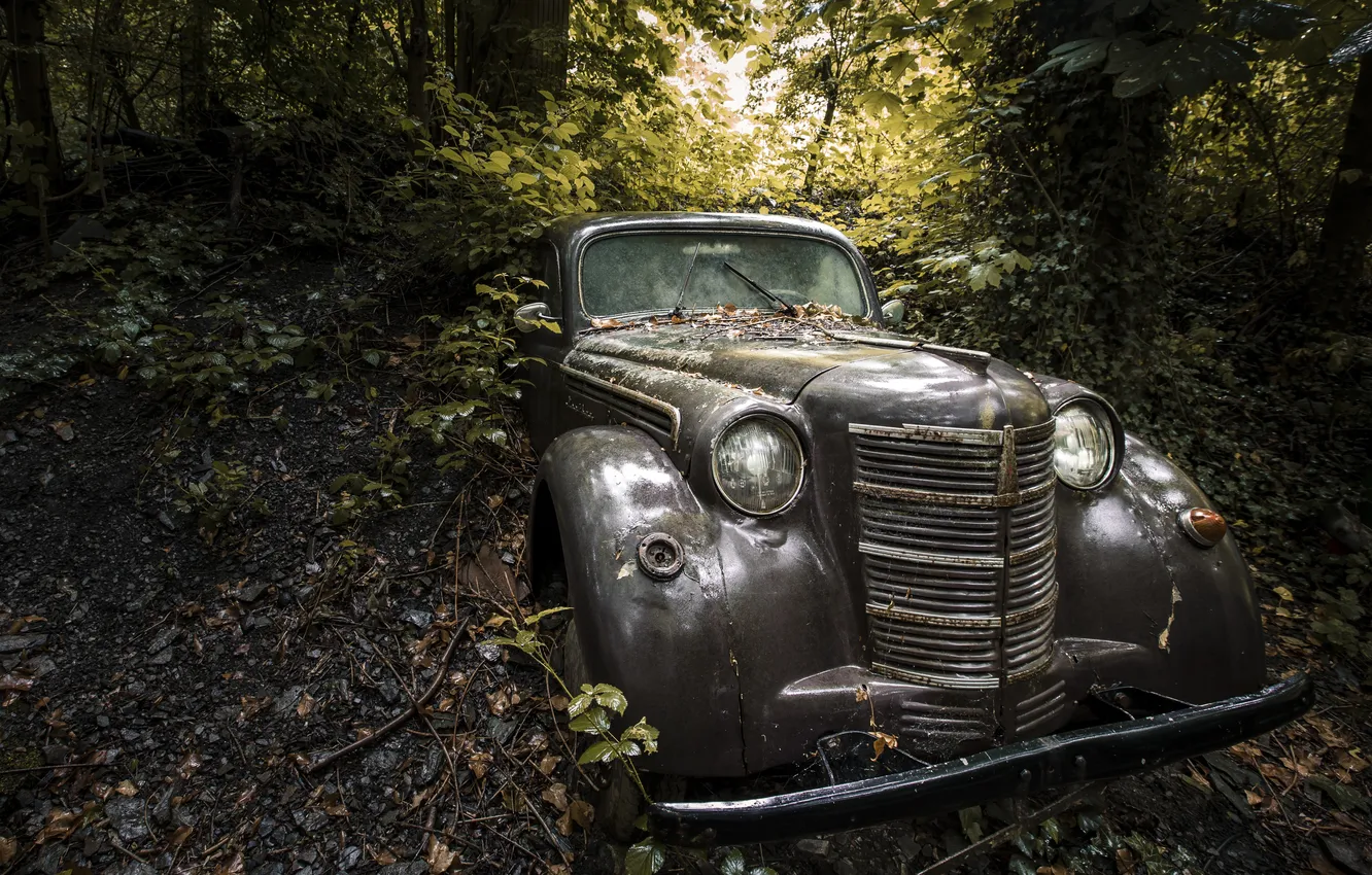 Photo wallpaper machine, background, scrap