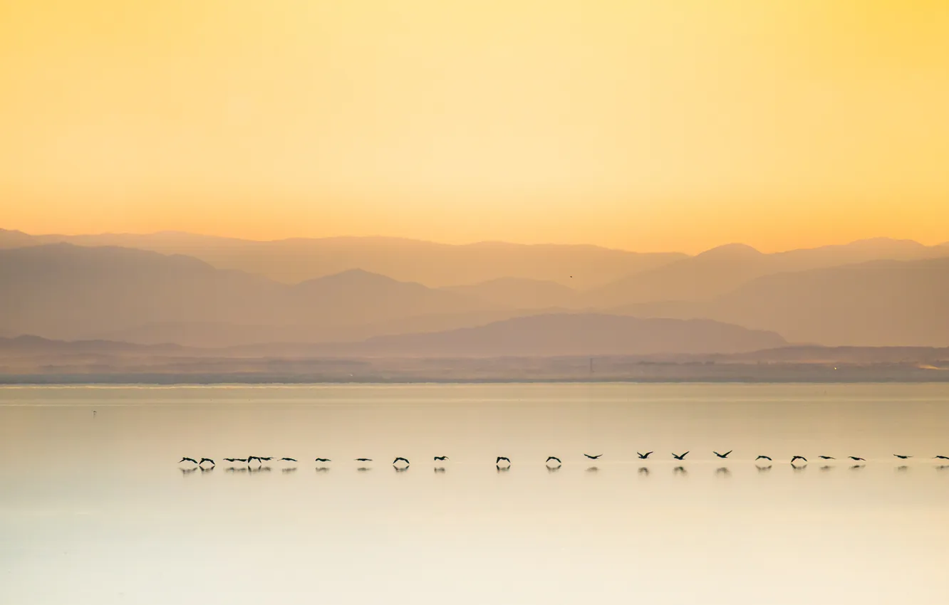 Photo wallpaper sunset, mountains, lake, reflection, bird, mirror