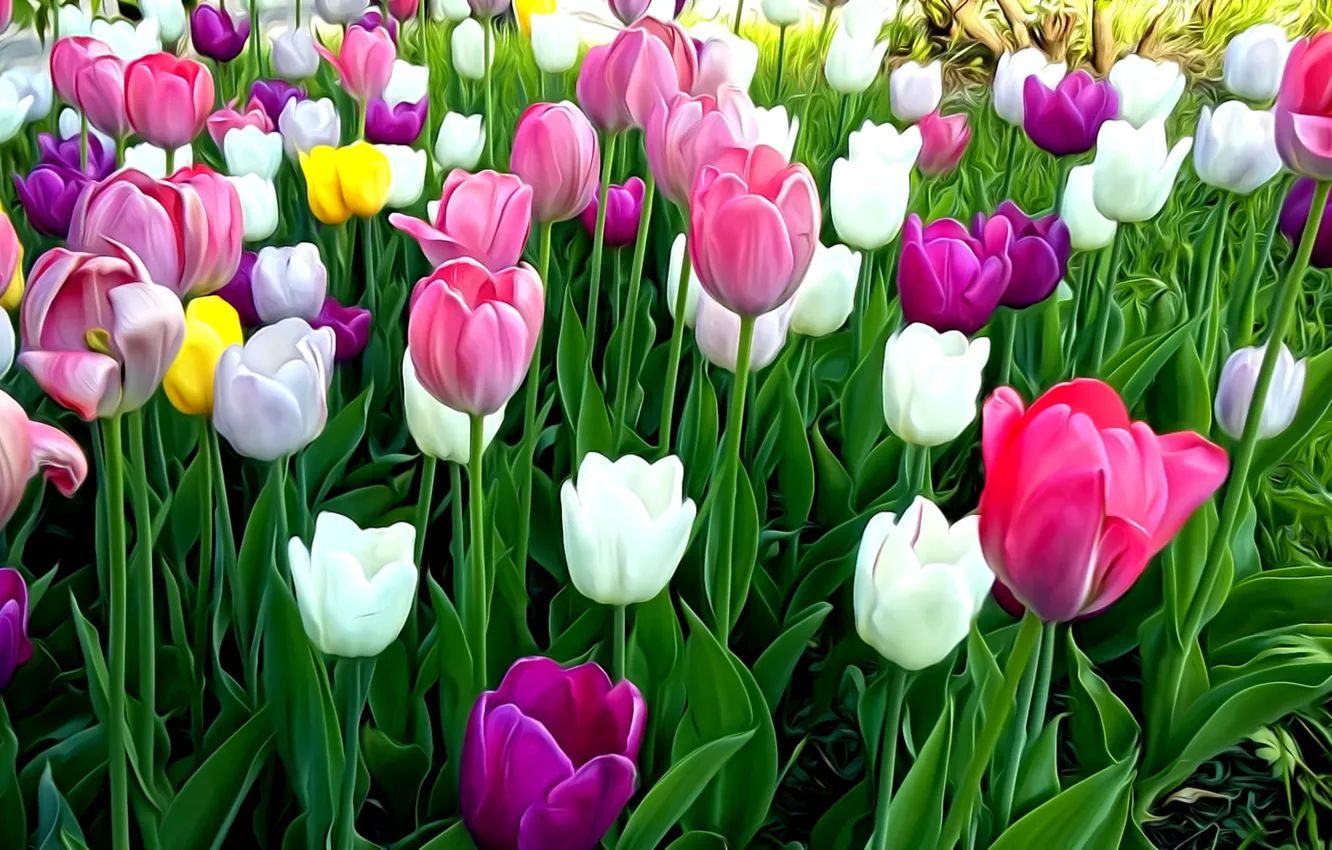 Photo wallpaper leaves, flowers, rendering, Wallpaper, spring, stem, tulips, flowerbed