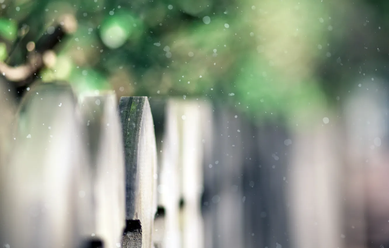 Photo wallpaper greens, the fence, focus, wooden, the bushes, snow, fence, time of the year