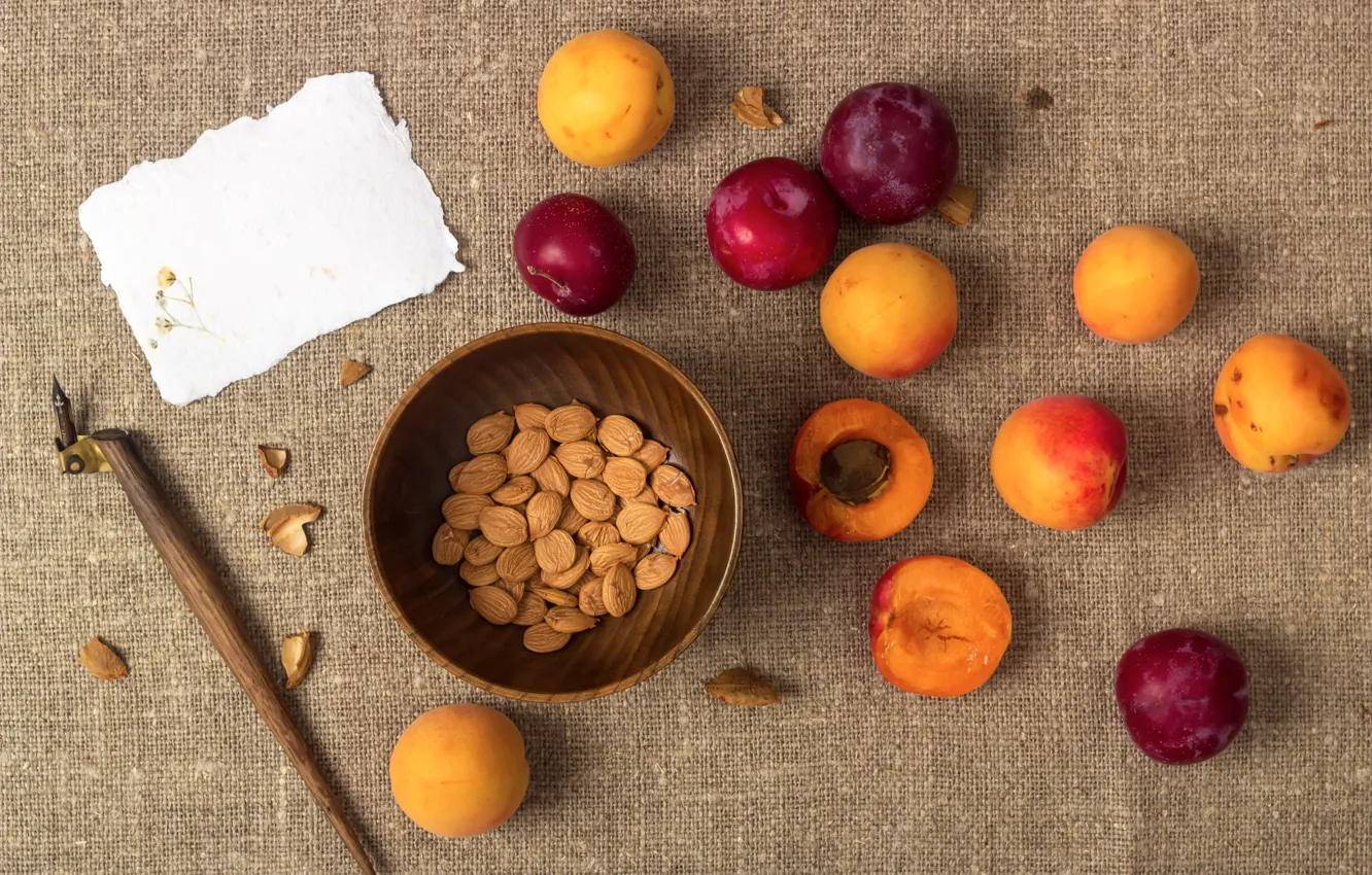 Photo wallpaper hammer, nuts, apricots, drain