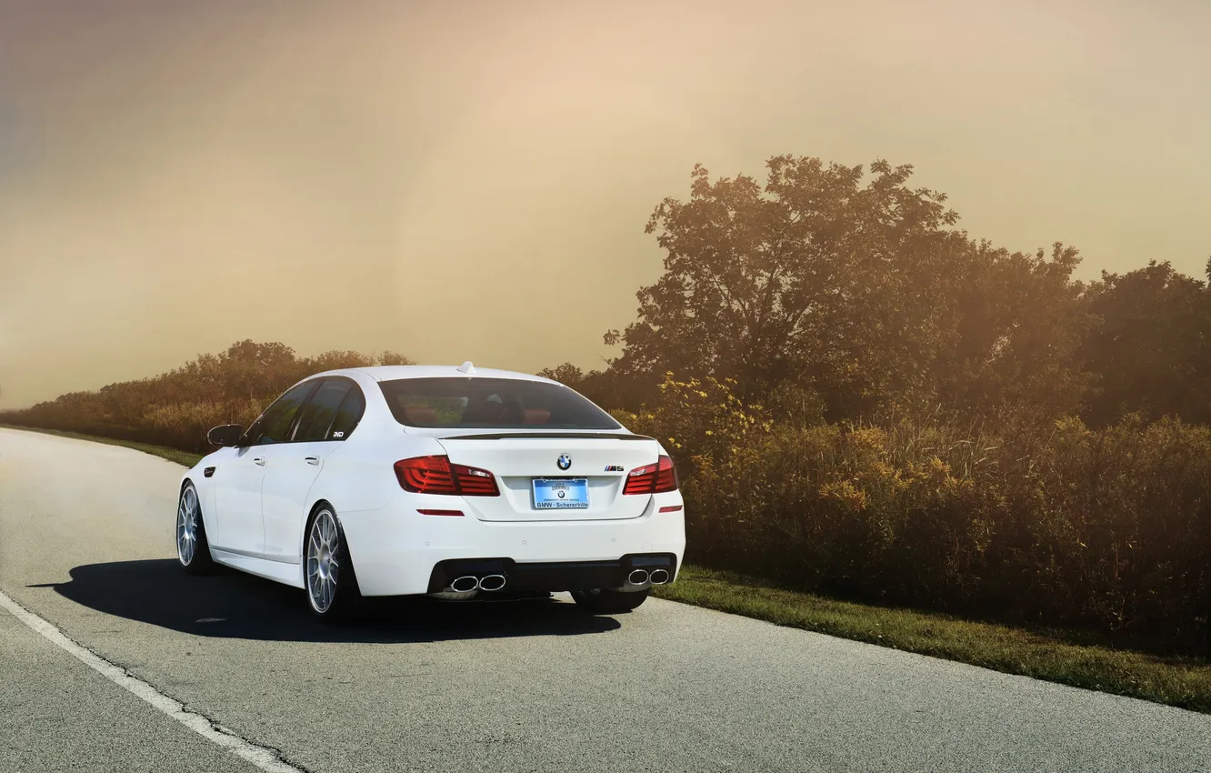 Photo wallpaper road, white, the sky, trees, strip, lawn, view, BMW