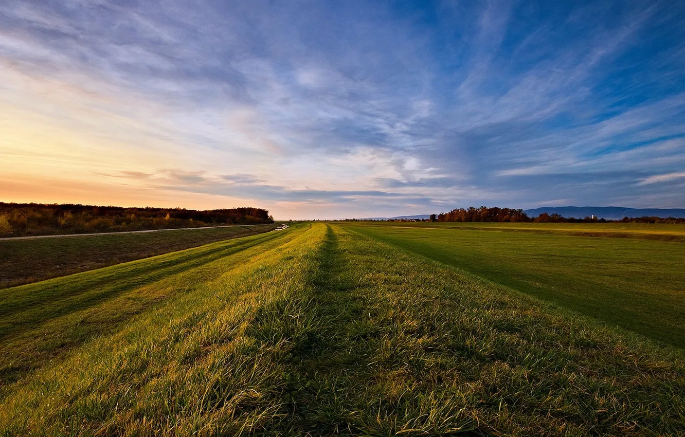 Photo wallpaper field, the sky, grass