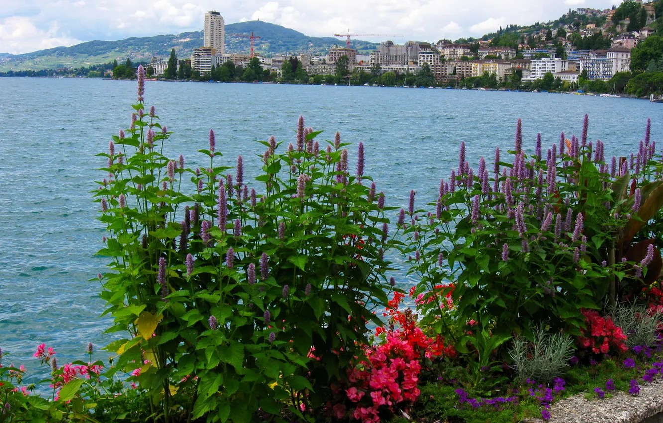 Photo wallpaper flowers, the city, lake, Switzerland, promenade, Geneva, Geneva