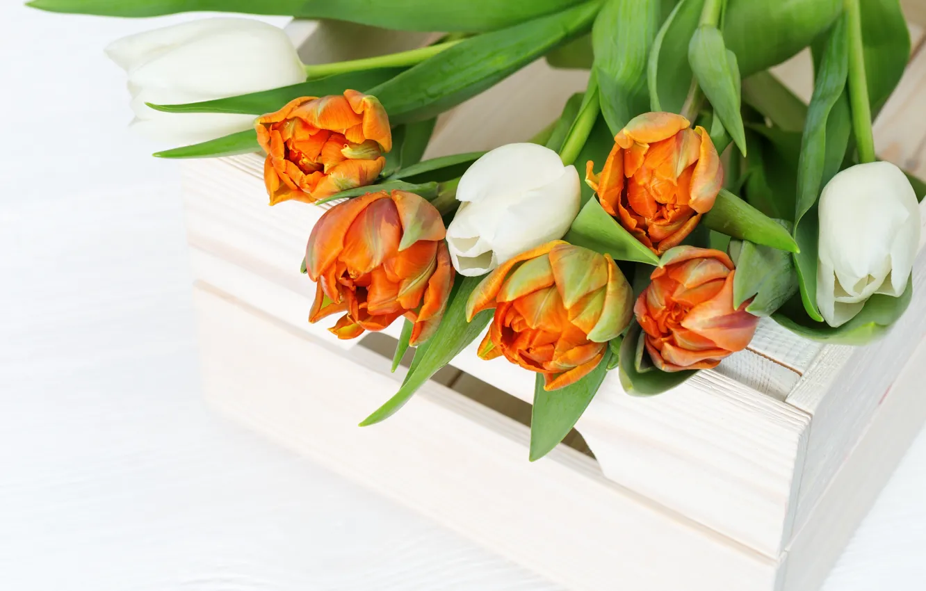 Photo wallpaper orange, bouquet, tulips, white, box