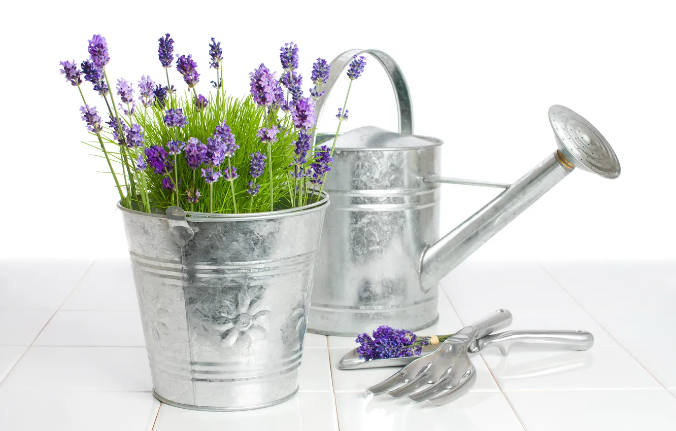 Photo wallpaper flowers, bucket, lake, lavender