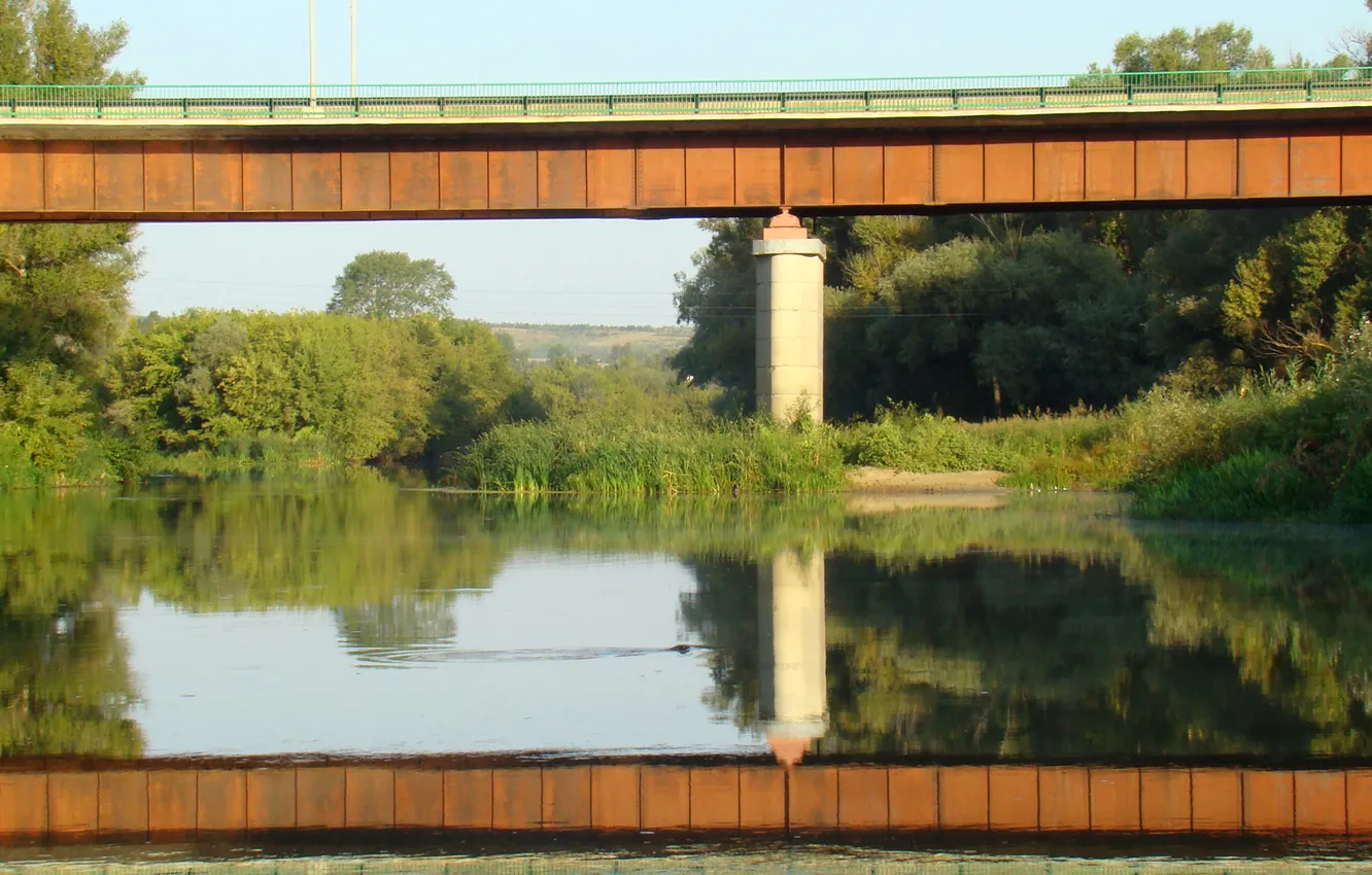 Photo wallpaper bridge, reflection, river, floats, muskrat