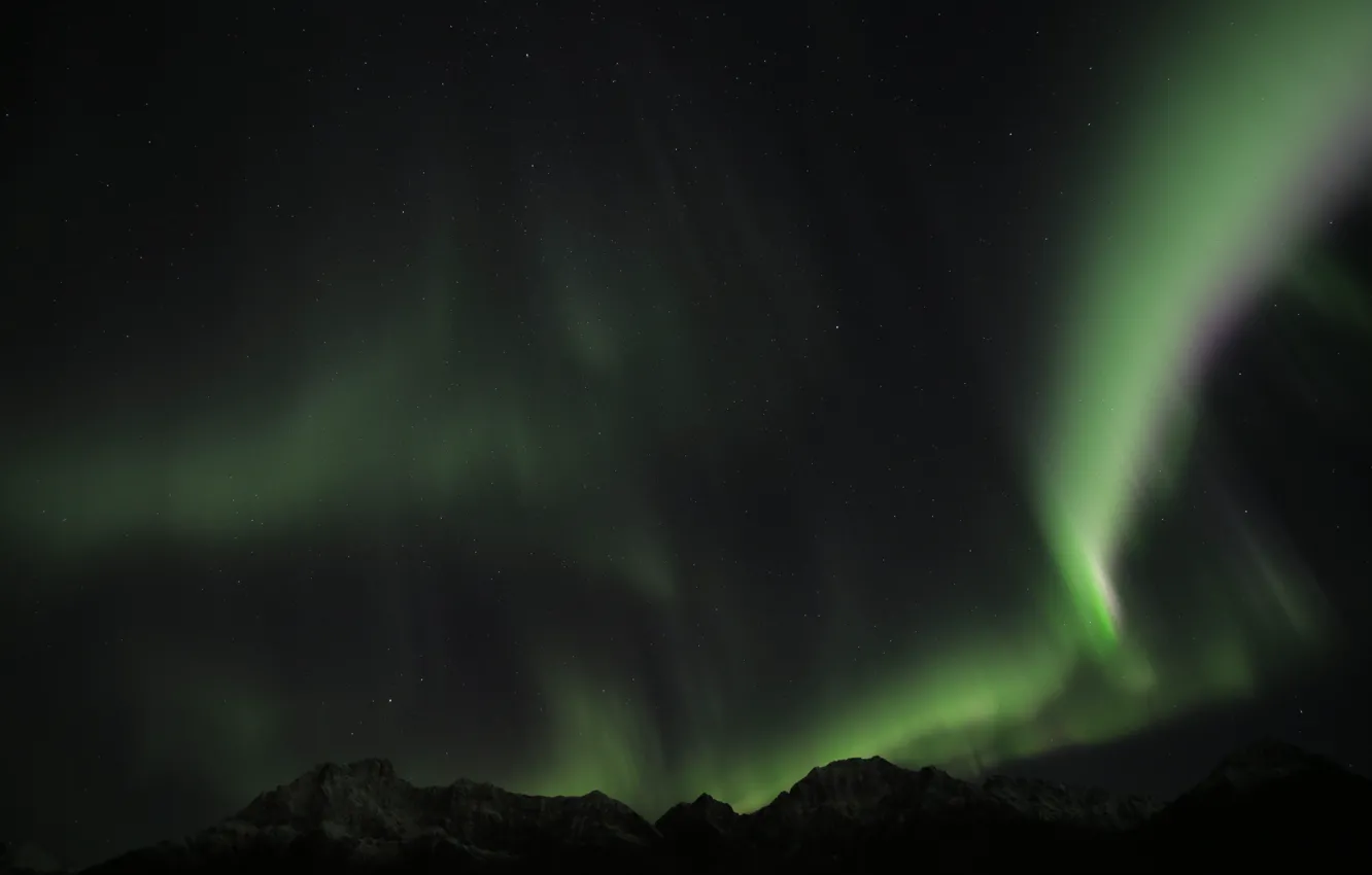 Photo wallpaper green, sky, night, norway, aurora borealis, northenlights