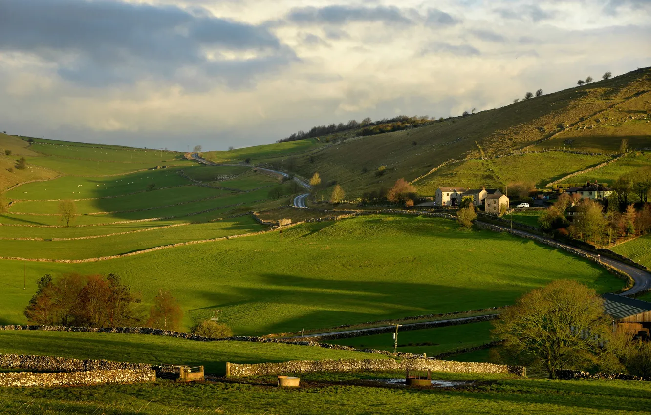 Photo wallpaper trees, hills, field, England, home