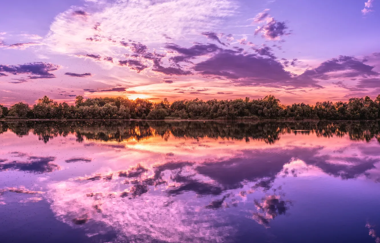 Photo wallpaper the sky, water, the sun, clouds, sunset, nature, reflection, river