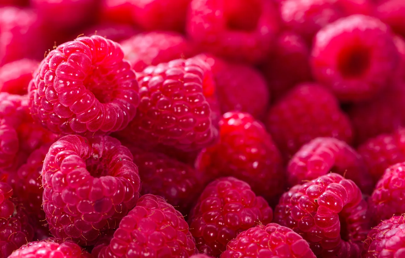 Photo wallpaper berries, raspberry, background, background, raspberry