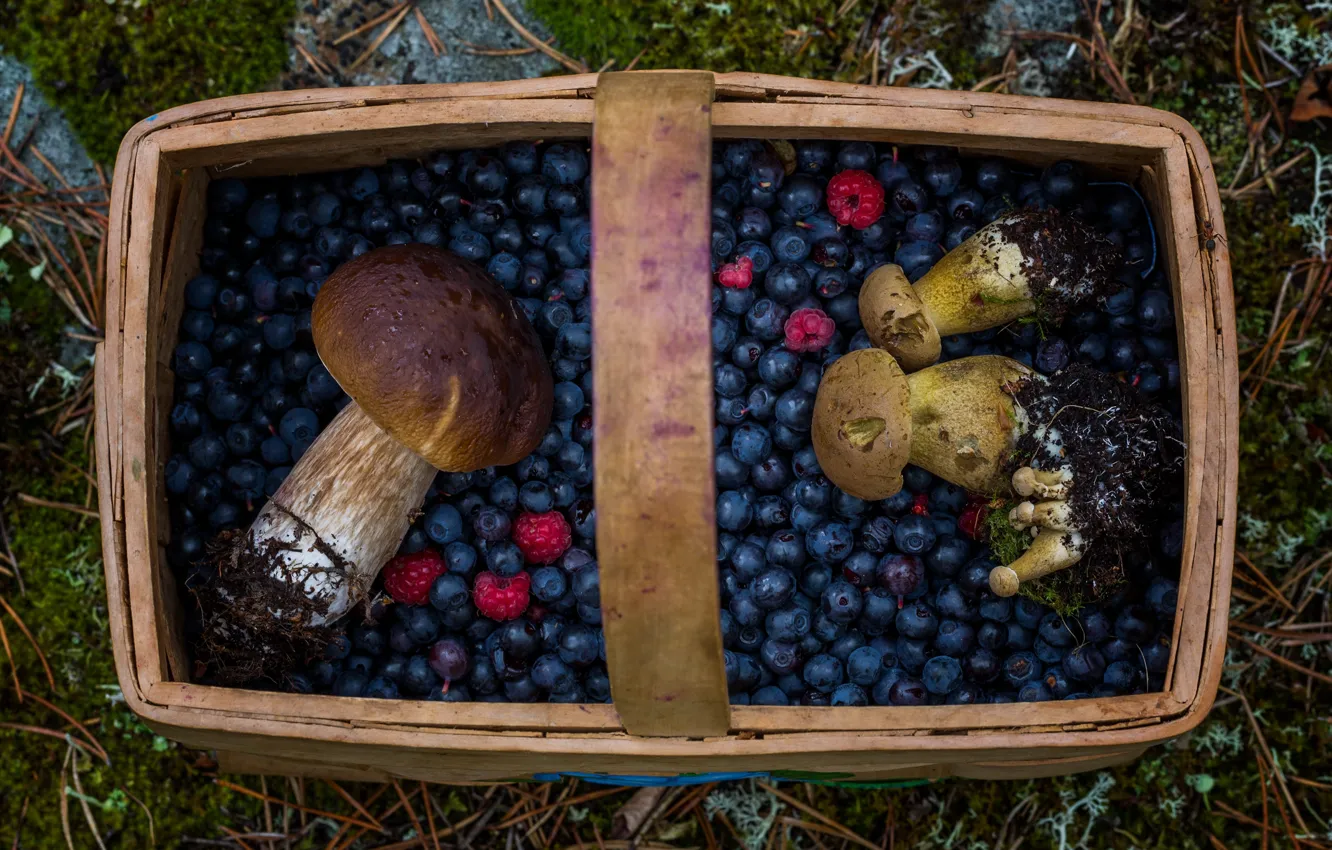 Photo wallpaper berries, basket, mushrooms