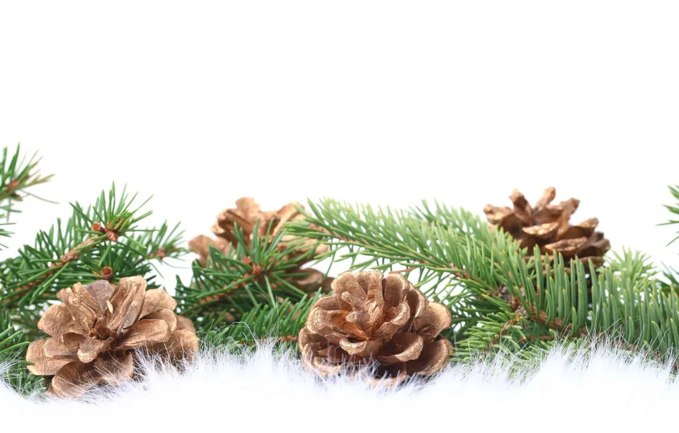 Photo wallpaper holiday, new year, garland, bumps, spruce branch