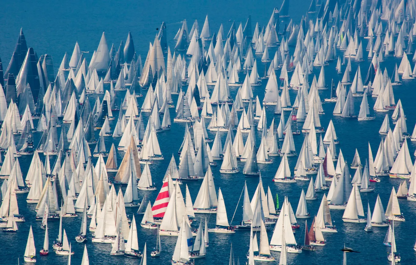 Photo wallpaper sea, sport, yachts, boats, sails, parade, boats, regatta