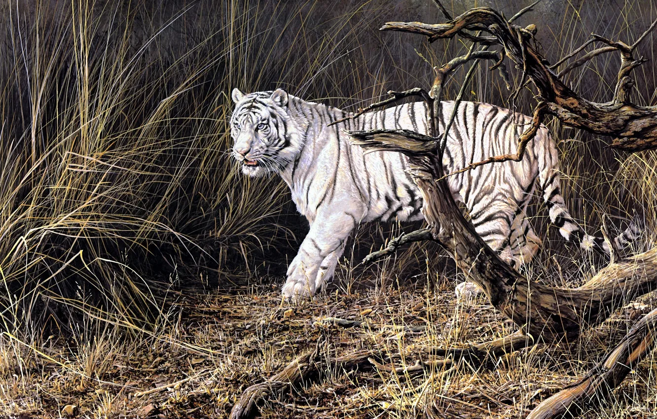 Photo wallpaper autumn, animals, tiger, painting, white tiger, dry grass, Alan M. Hunt, deadwood