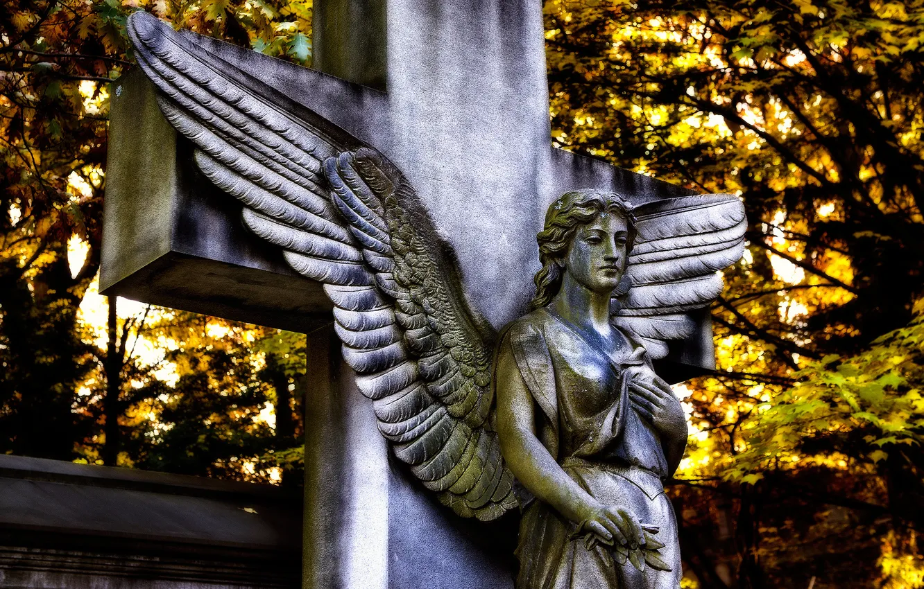Photo wallpaper wings, cross, angel