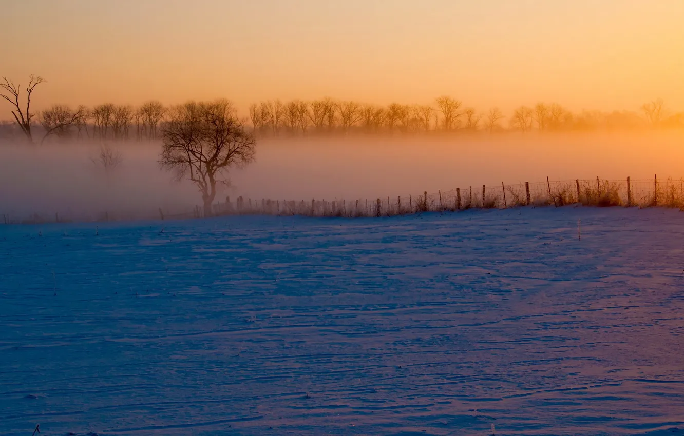 Photo wallpaper winter, landscape, fog
