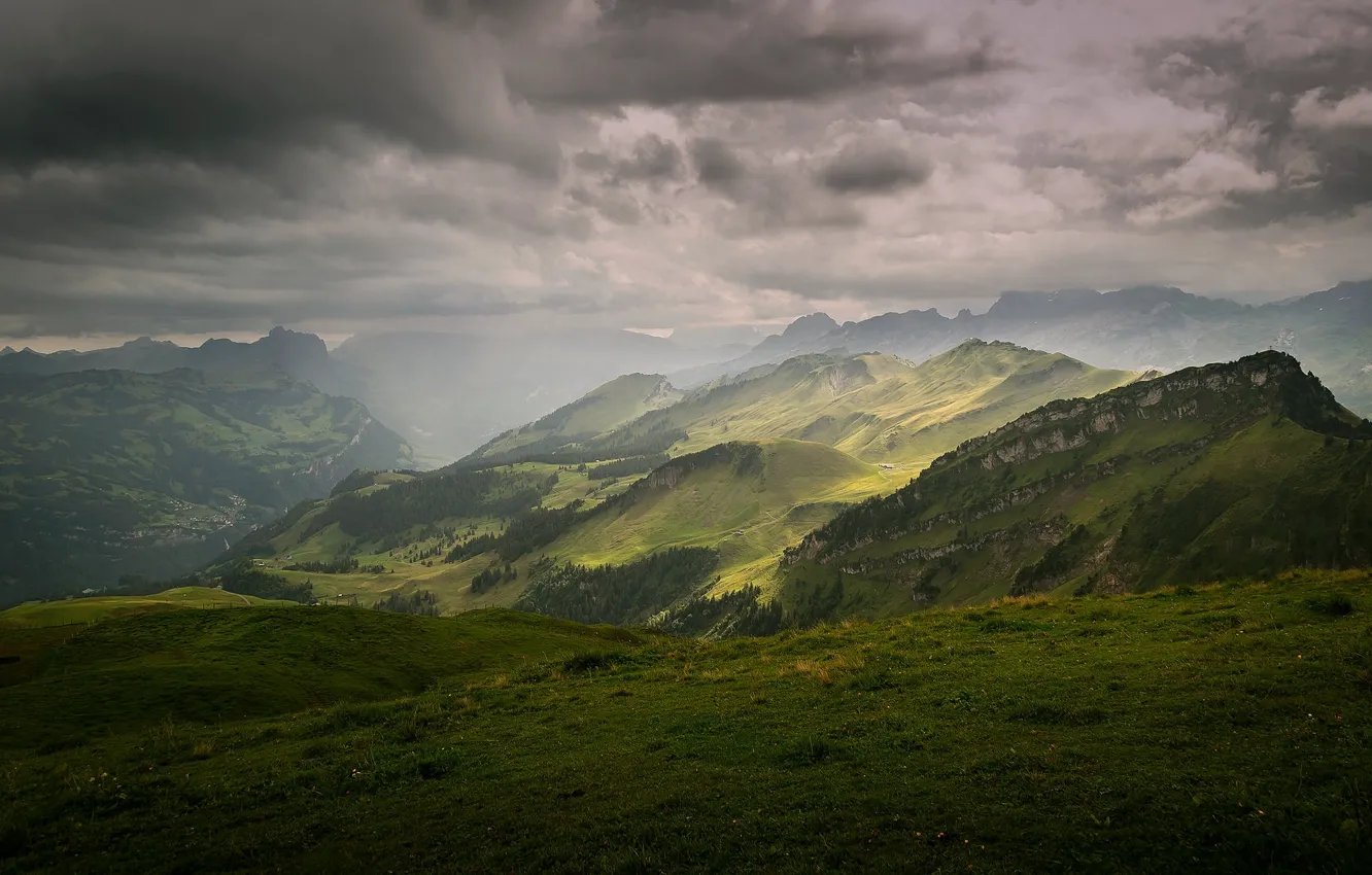 Photo wallpaper field, forest, the sky, clouds, mountains, fog, hills, tops