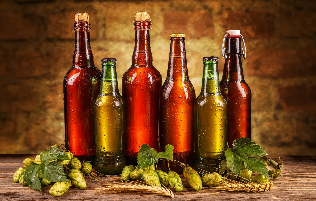 Photo wallpaper drops, beer, bottle, ears, a lot, different, cold, hops