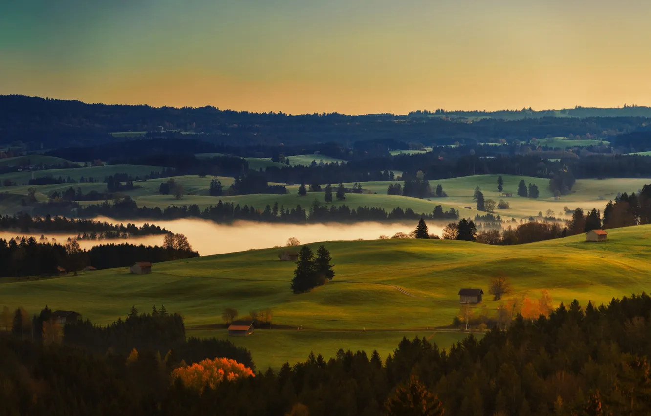 Photo wallpaper field, autumn, forest, the sky, fog, dawn, hills, shore