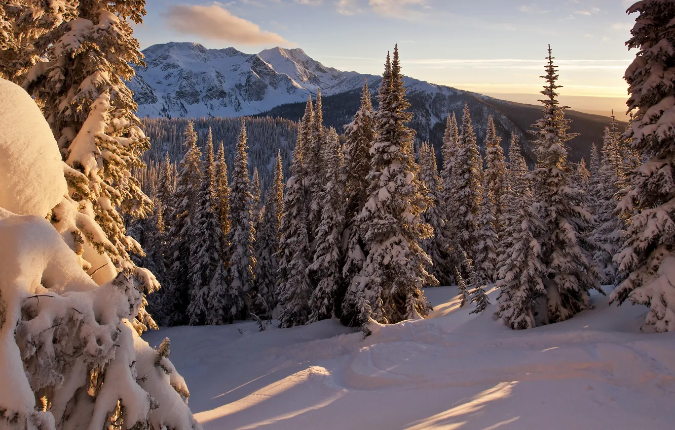 Photo wallpaper winter, forest, the sun, snow, trees, mountains