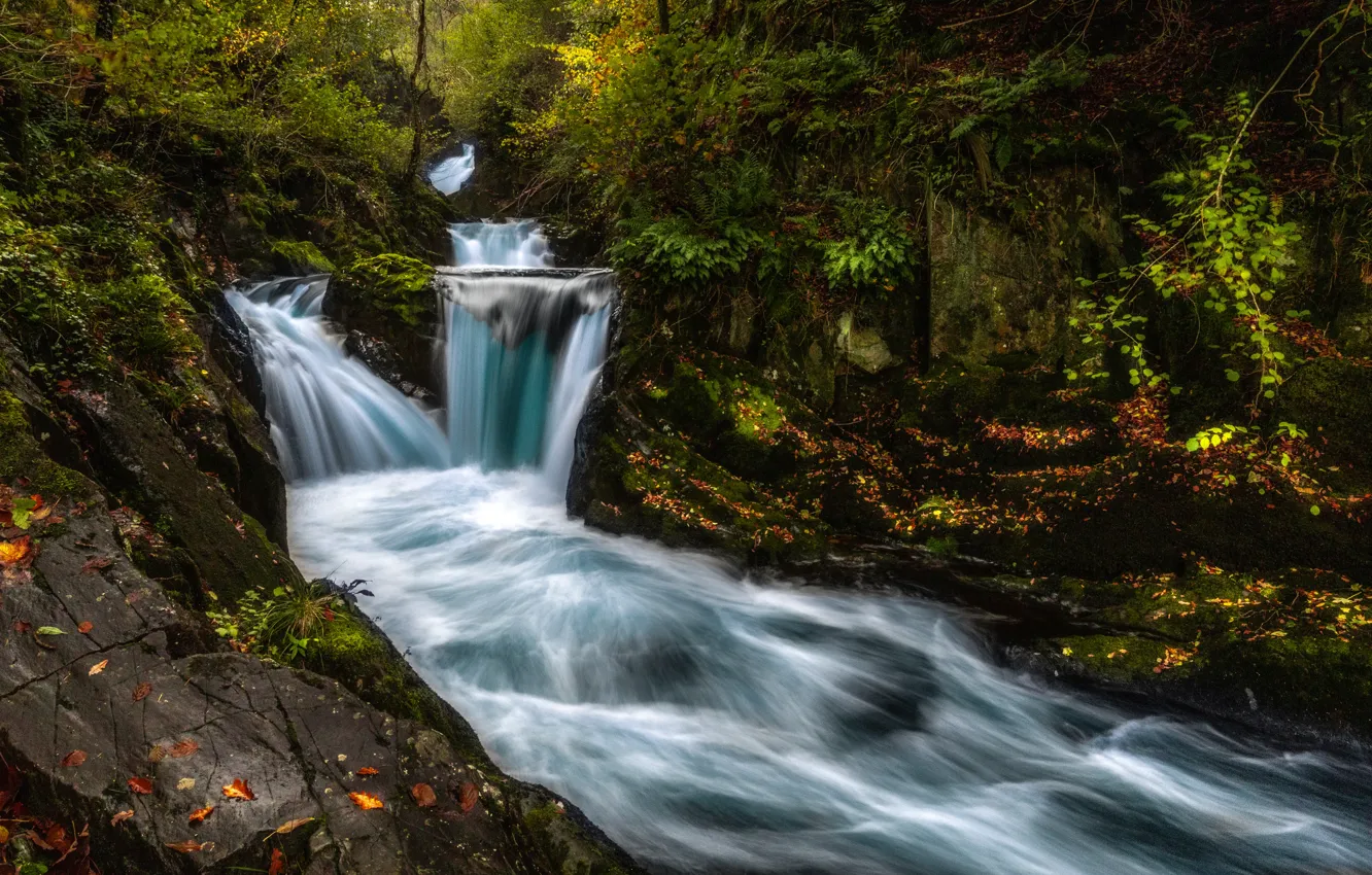 Photo wallpaper nature, rocks, shore, waterfall, stream