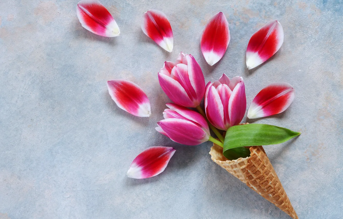 Photo wallpaper Tulip, petals, horn