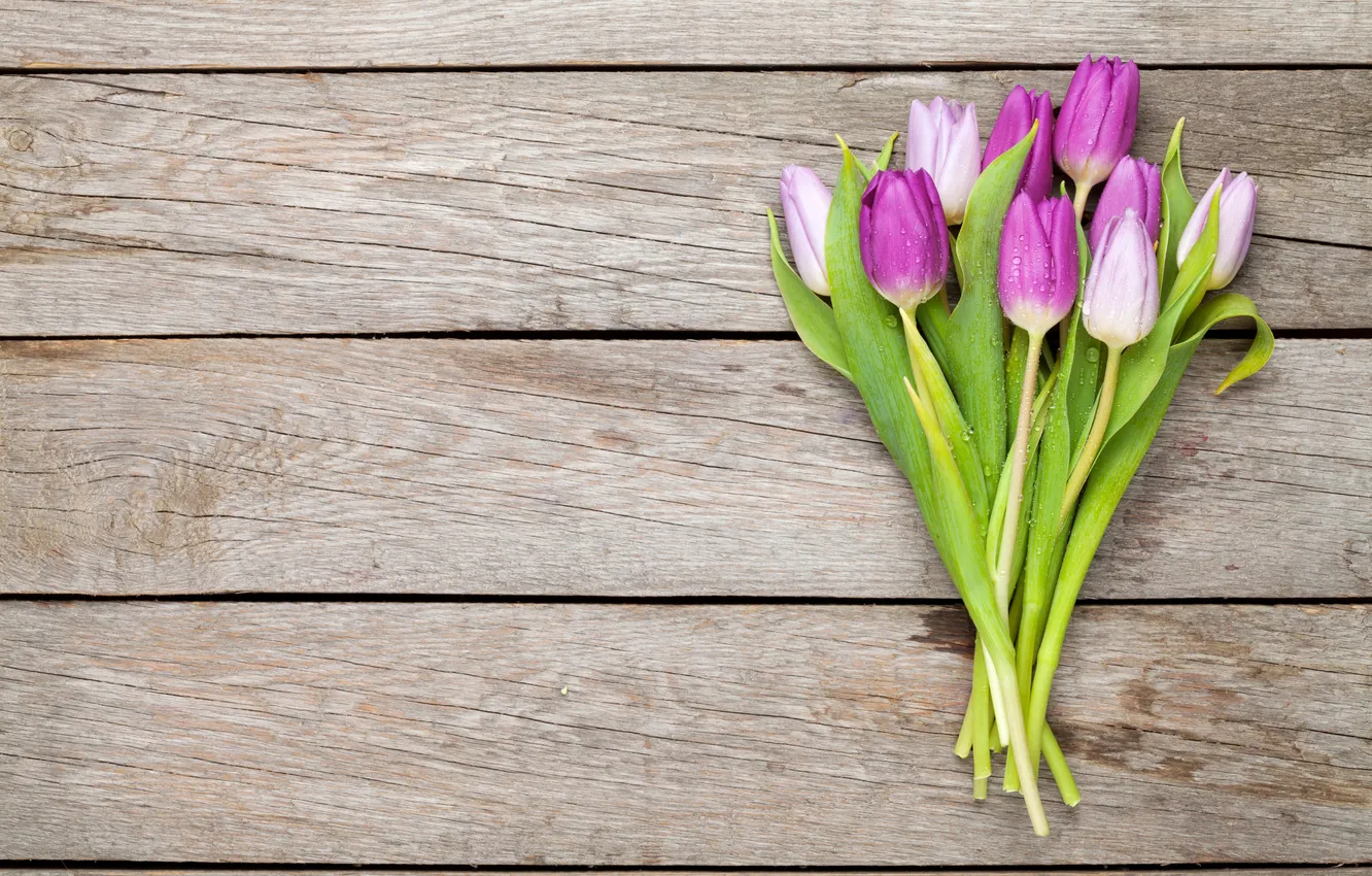 Photo wallpaper flowers, bouquet, tulips, wood, flowers, tulips, spring, purple