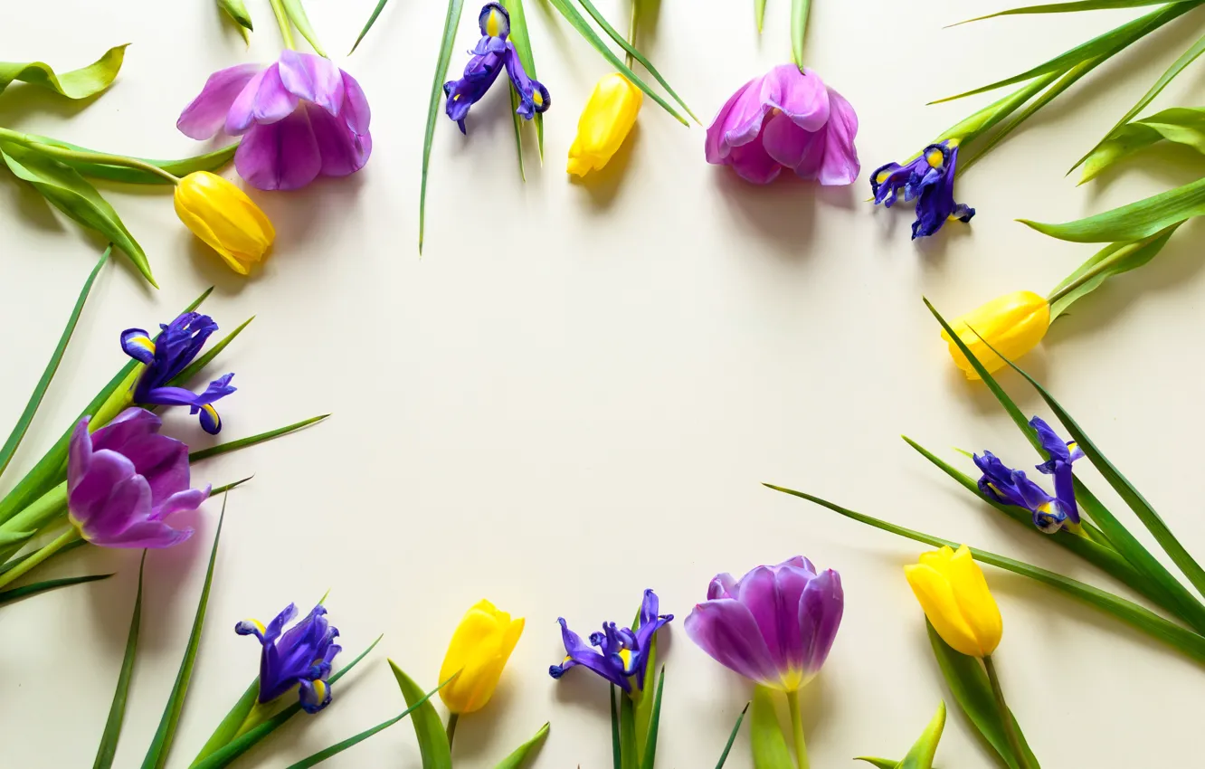 Photo wallpaper flowers, tulips, iris