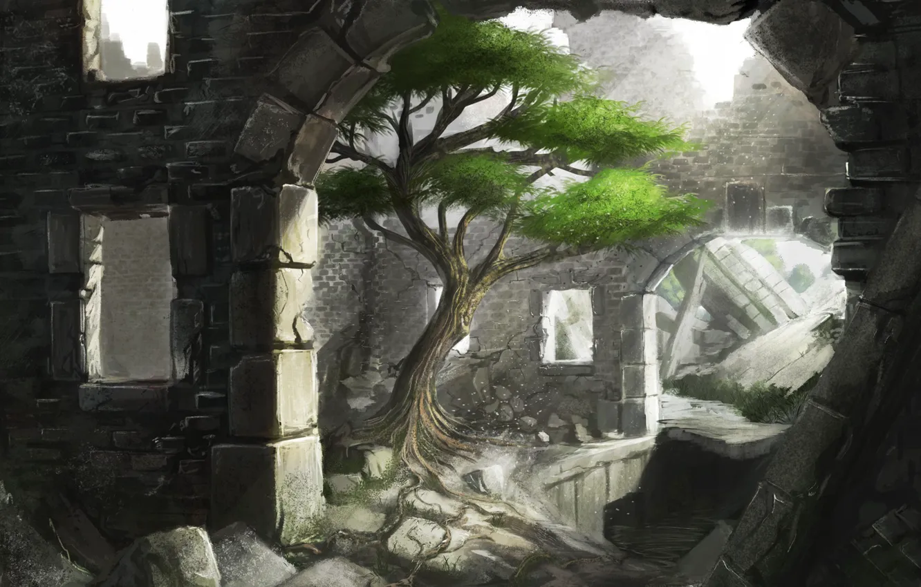 Photo wallpaper light, stones, tree, art, arch, ruins, iidanmrak