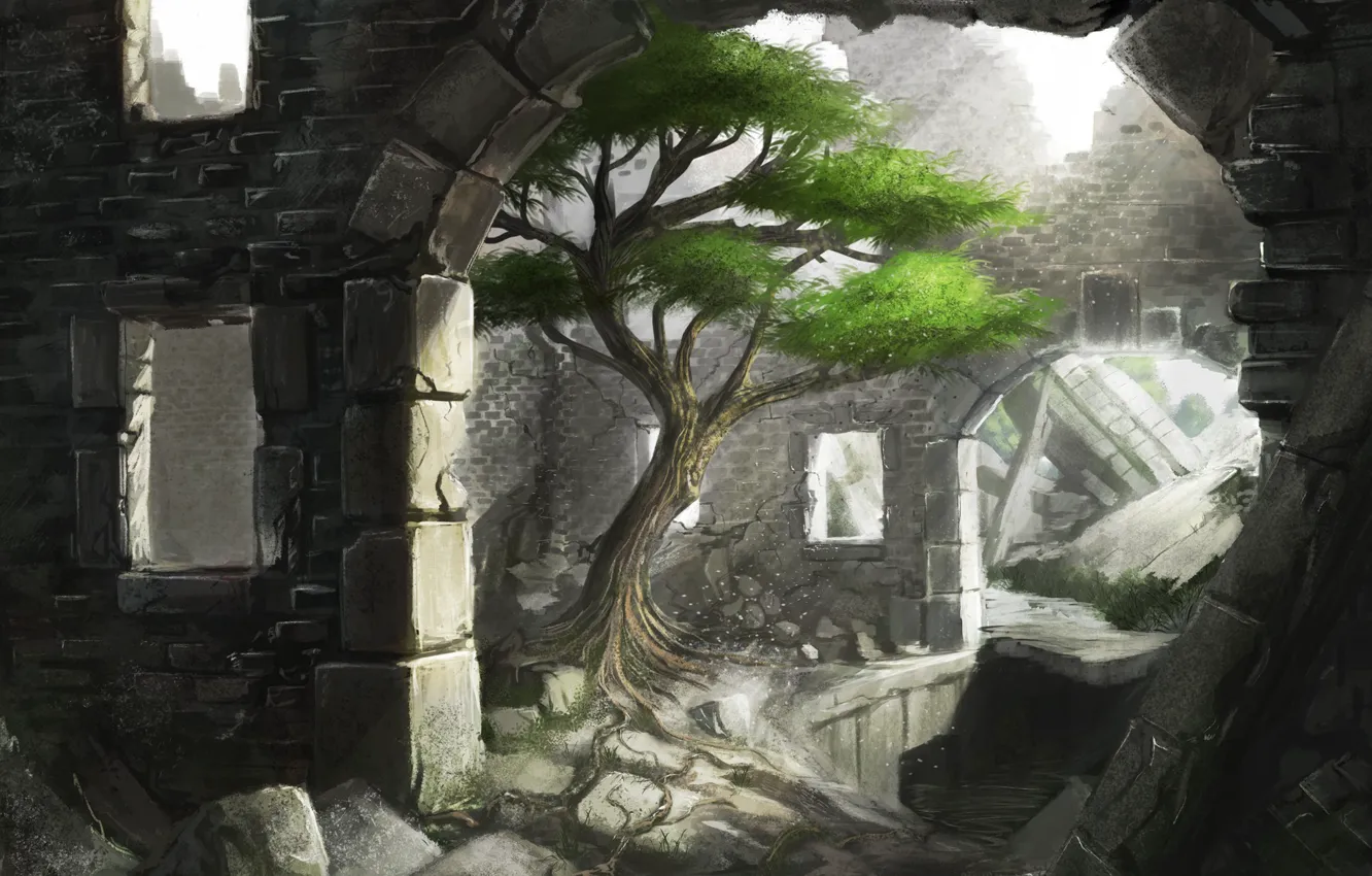 Photo wallpaper light, trees, stones, art, arch, ruins, iidanmrak