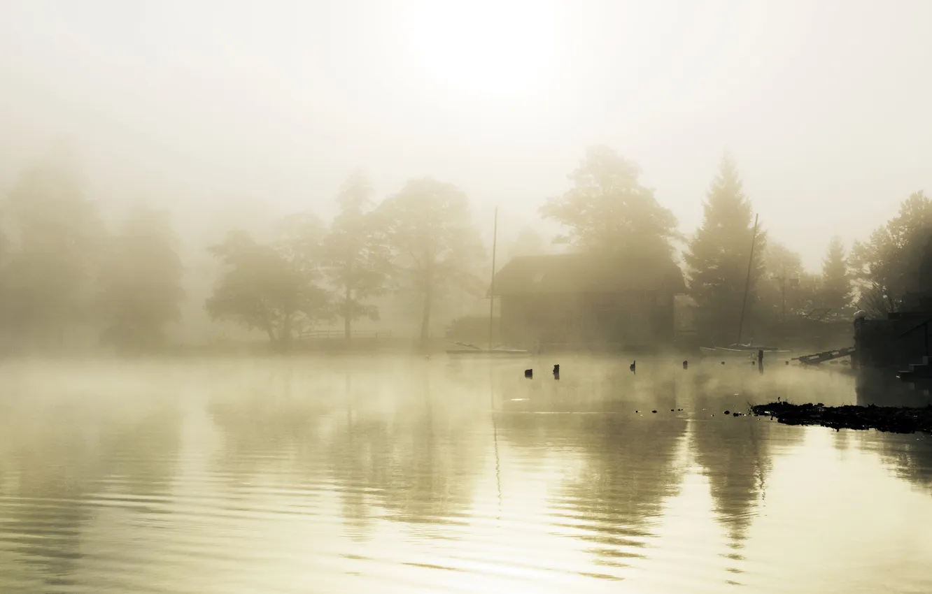 Photo wallpaper fog, lake, house, surface, ladder, structure