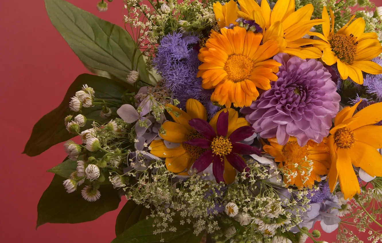 Photo wallpaper flowers, chamomile, bouquet