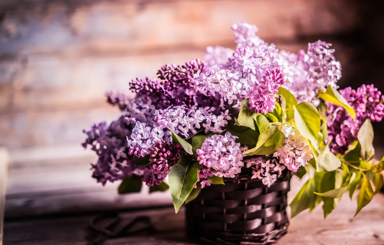 Photo wallpaper flowers, branches, basket, Board, lilac