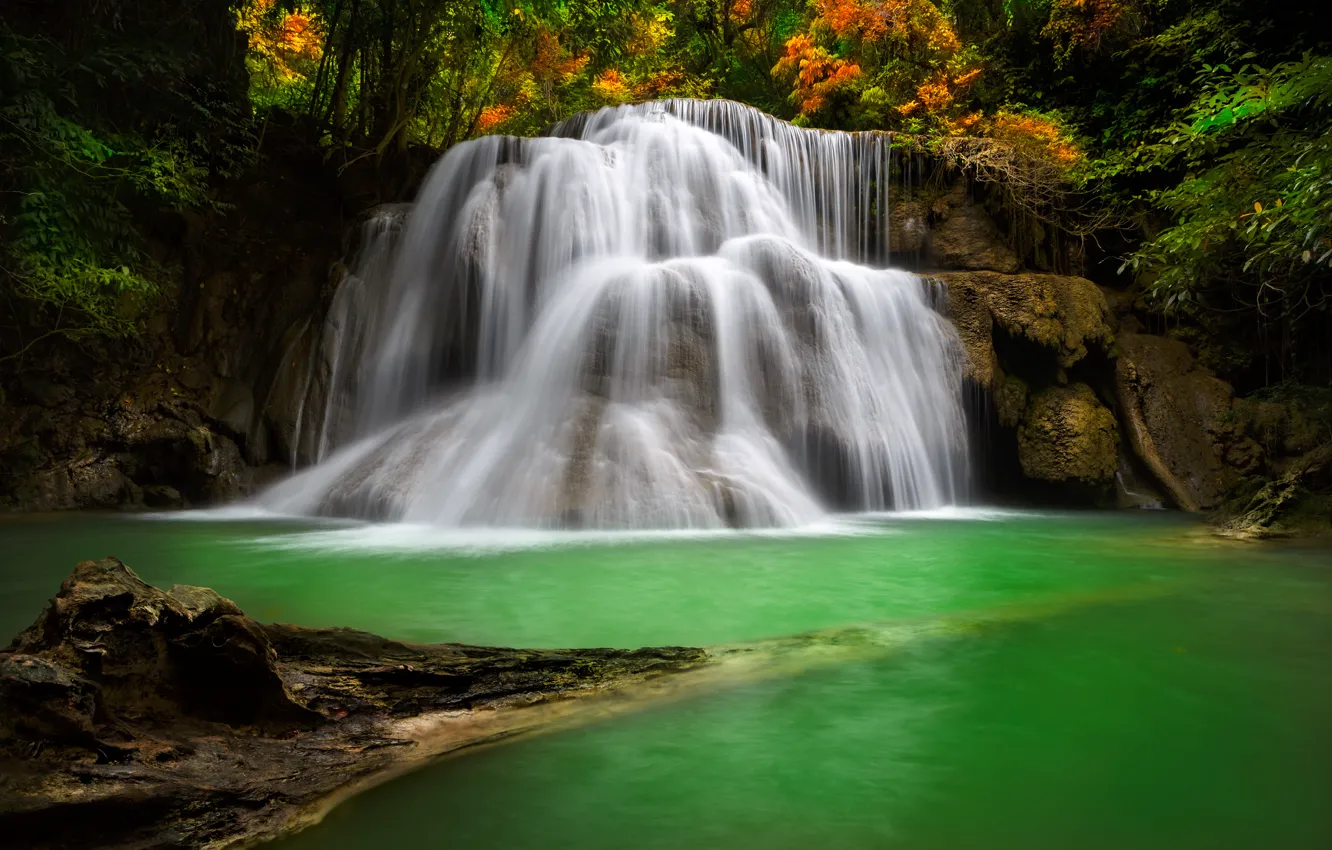 Photo wallpaper autumn, forest, trees, lake, river, waterfall, cascade
