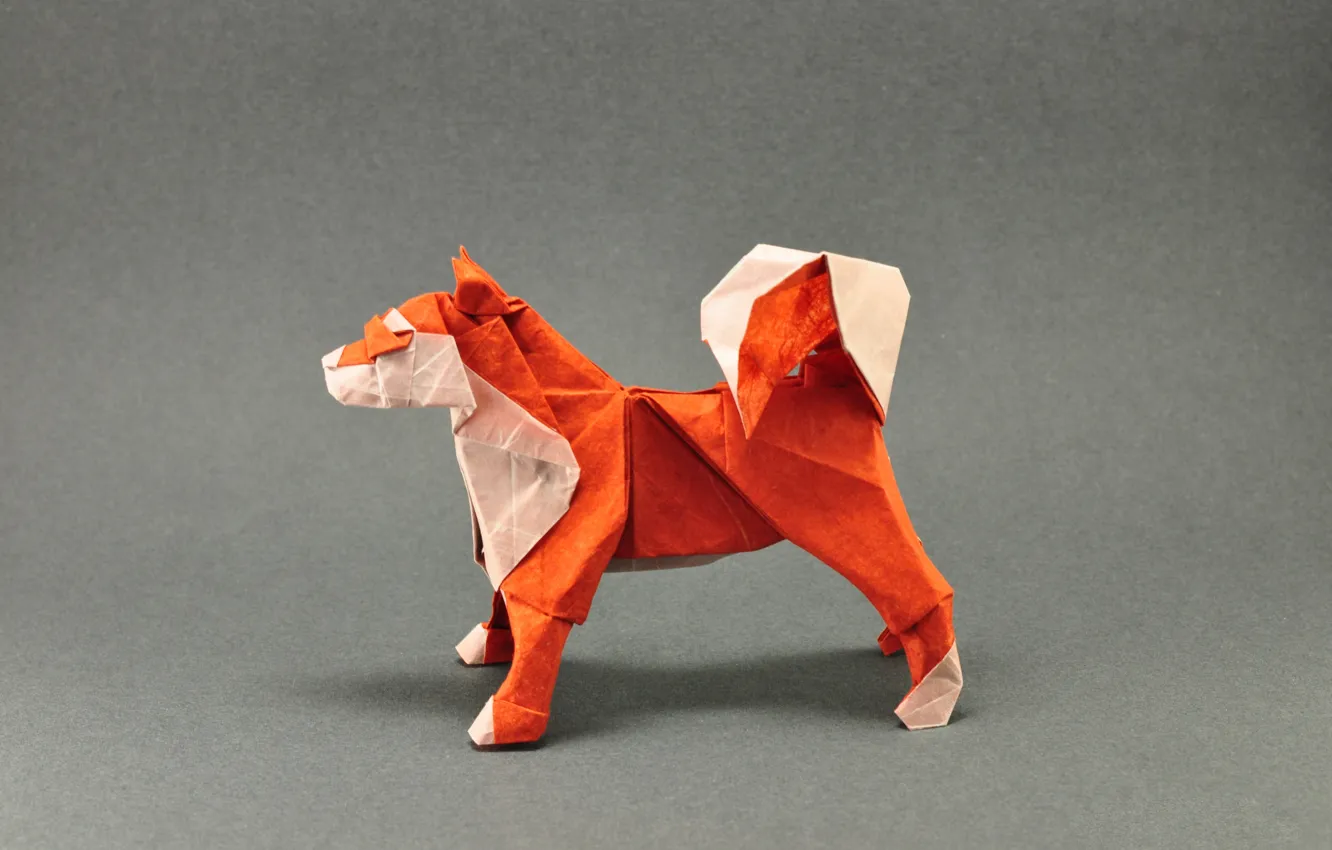 Photo wallpaper orange, grey, dog, tail, origami, dog, tail, orange