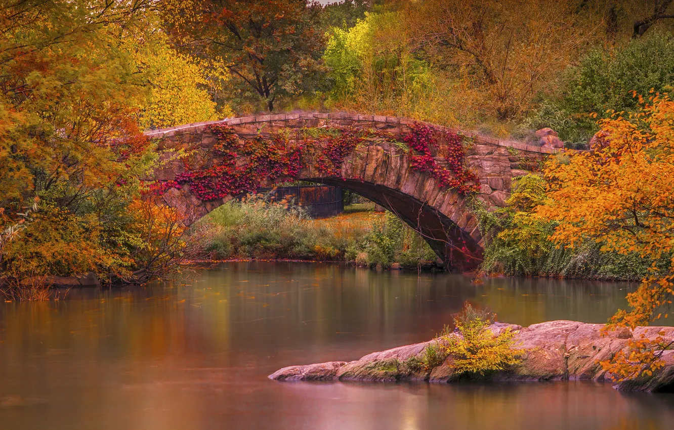 Photo wallpaper autumn, forest, bridge, Park, shore, arch, old, pond
