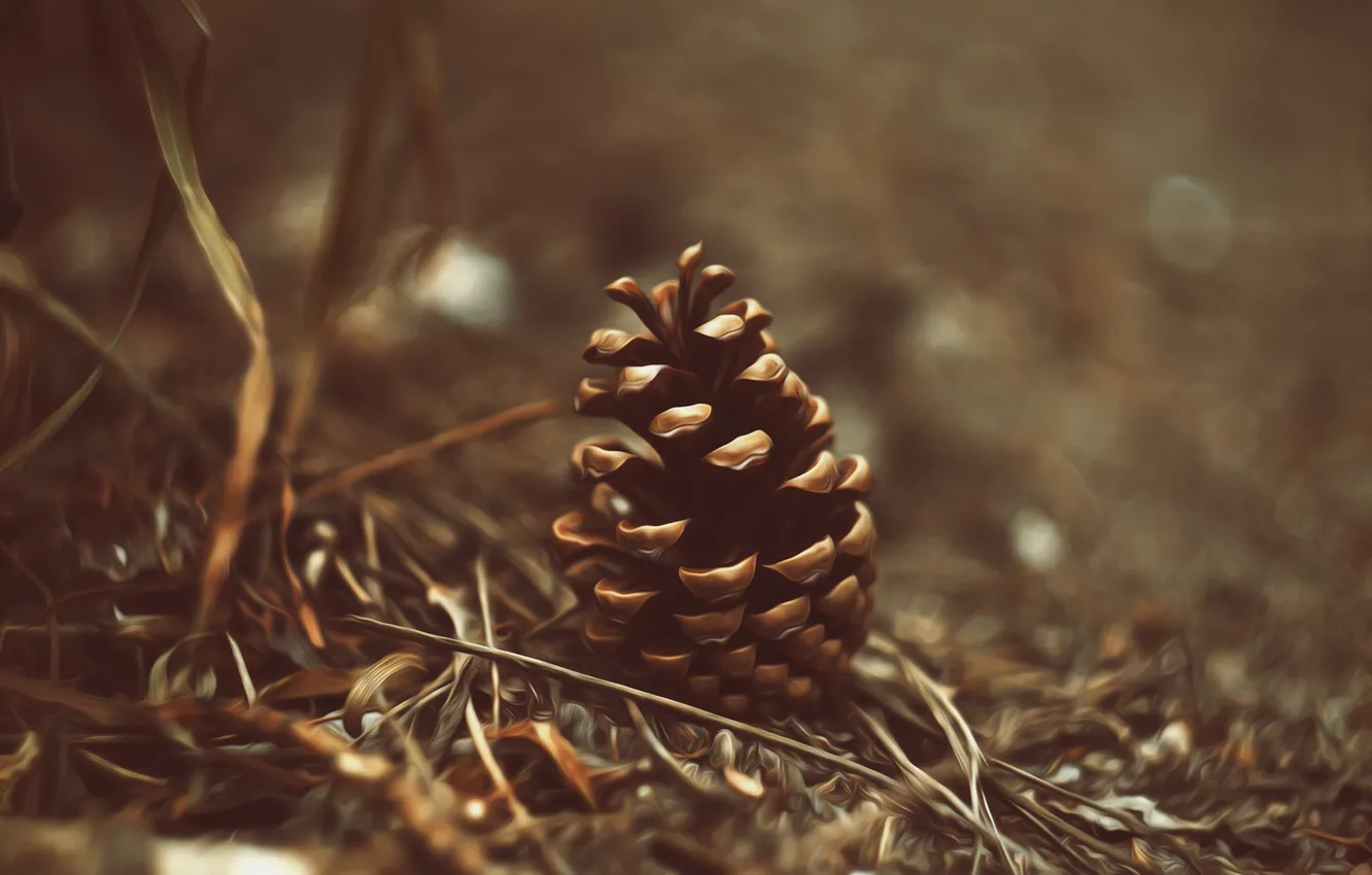 Photo wallpaper macro, bumps, Helios, Oil paint