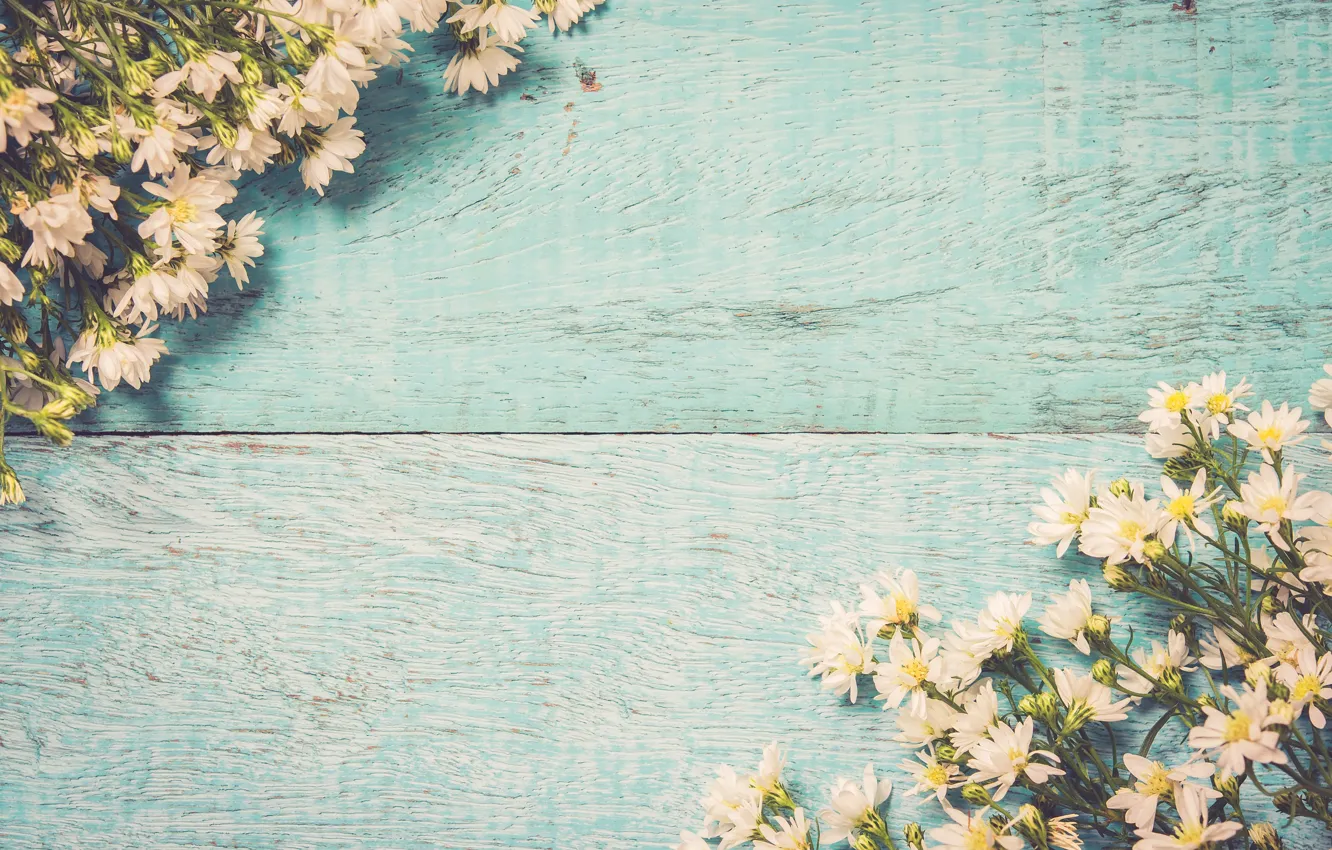 Photo wallpaper flowers, spring, white, white, wood, blossom, flowers, romantic