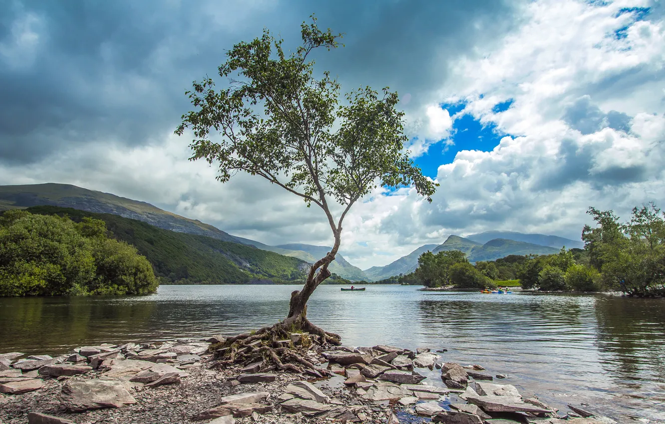 Photo wallpaper the sky, clouds, mountains, lake, stones, tree, shore, England
