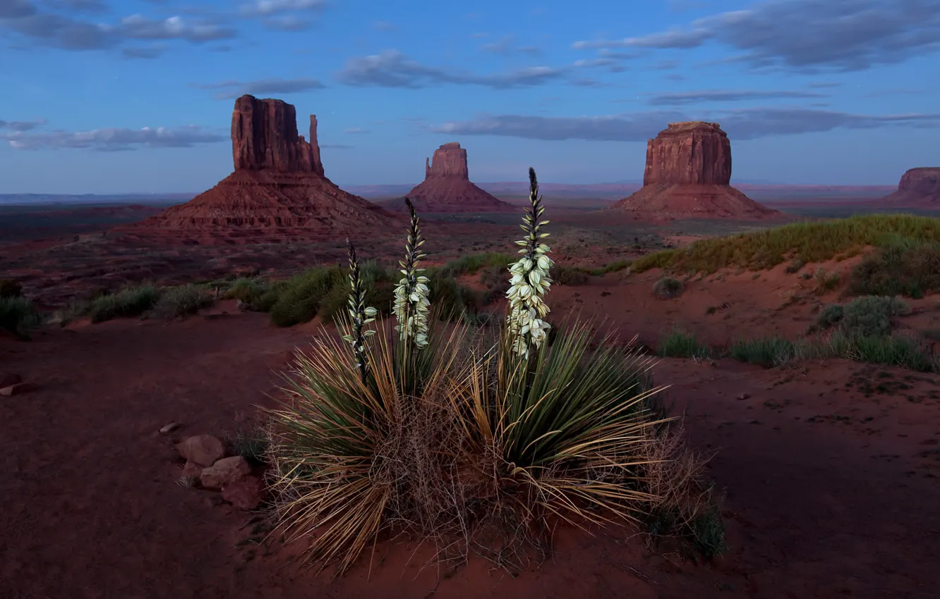 Photo wallpaper landscape, blue hour, Monument Valley