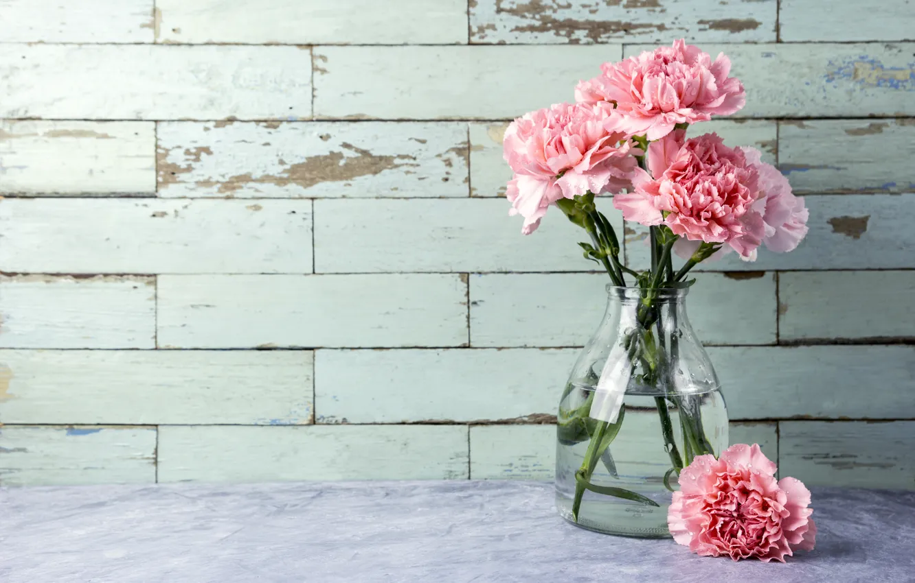 Photo wallpaper flowers, bouquet, pink, pink, flowers, beautiful, clove, carnation