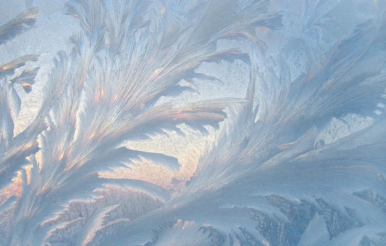 Photo wallpaper cold, winter, frost, glass, light, snow, pattern, ice