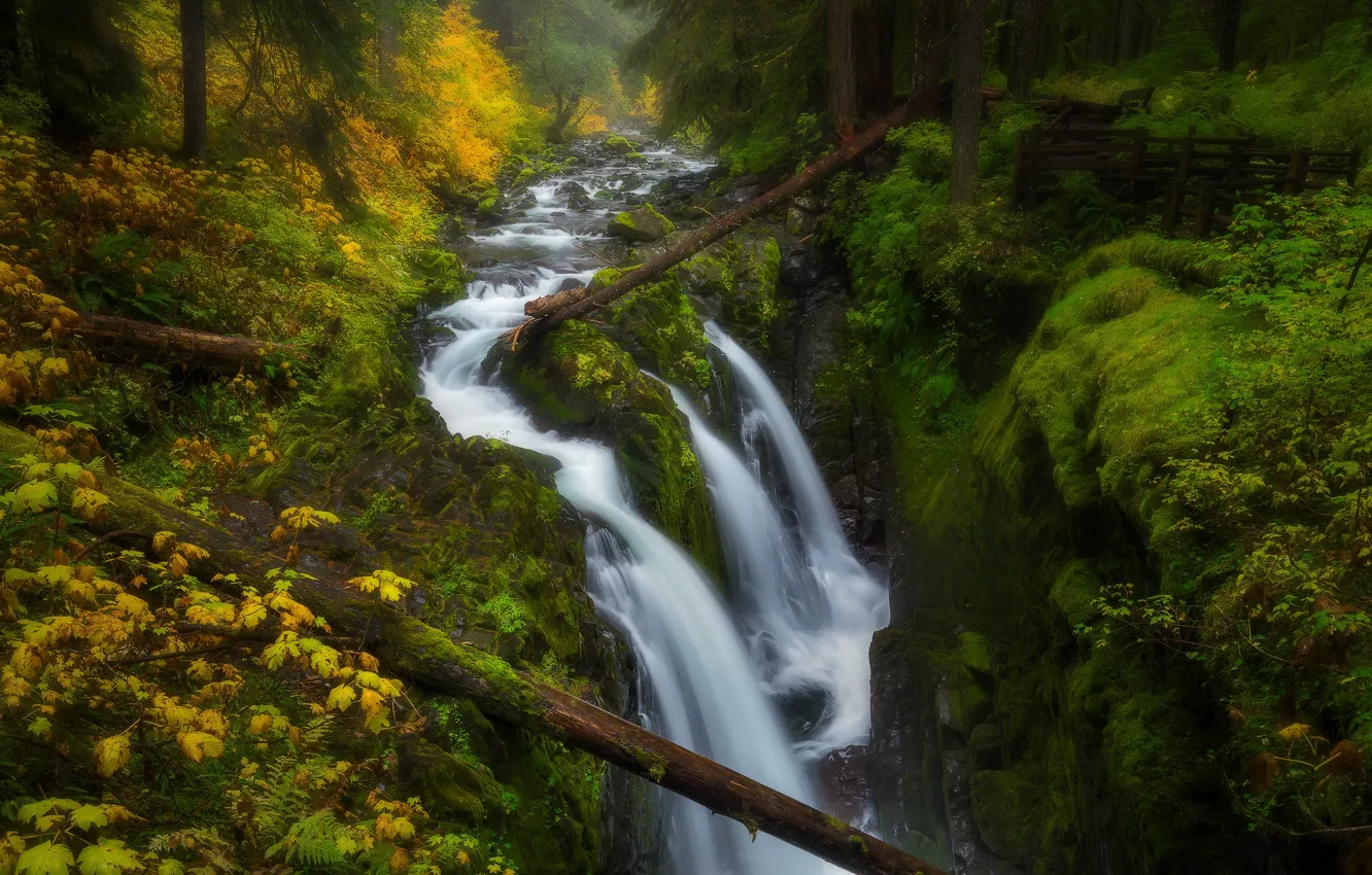 Photo wallpaper forest, river, waterfall