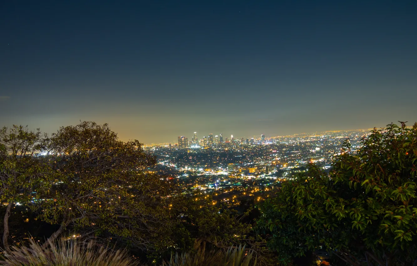 Photo wallpaper Sky, Night, Los Angeles, Skyline, View, Trees