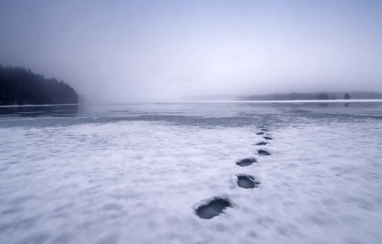 Photo wallpaper snow, traces, fog, lake