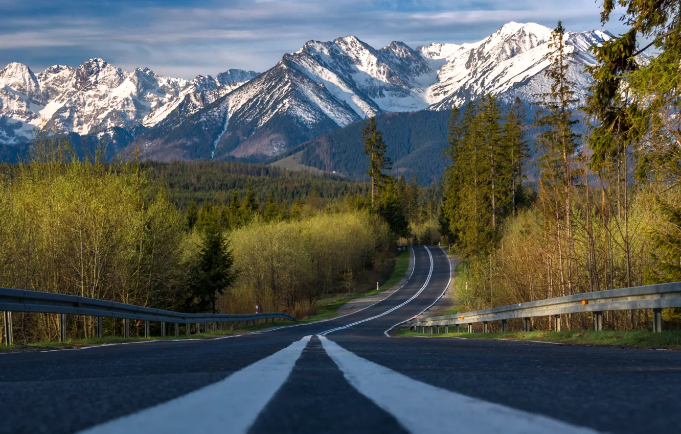 Photo wallpaper road, forest, landscape, mountains, nature, spring, morning, Poland