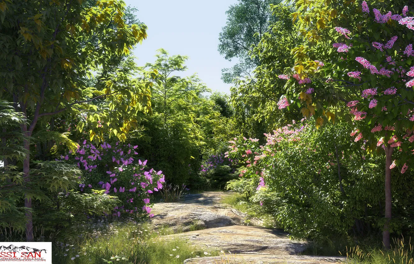 Photo wallpaper summer, nature, stones, vegetation, property