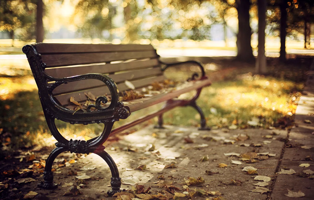 Photo wallpaper autumn, leaves, trees, bench, nature, Park, shop, shop