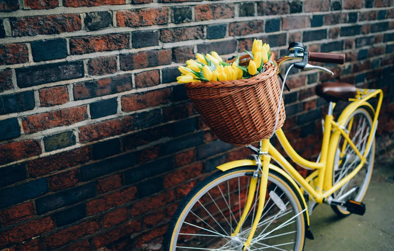Photo wallpaper flowers, bike, tulips